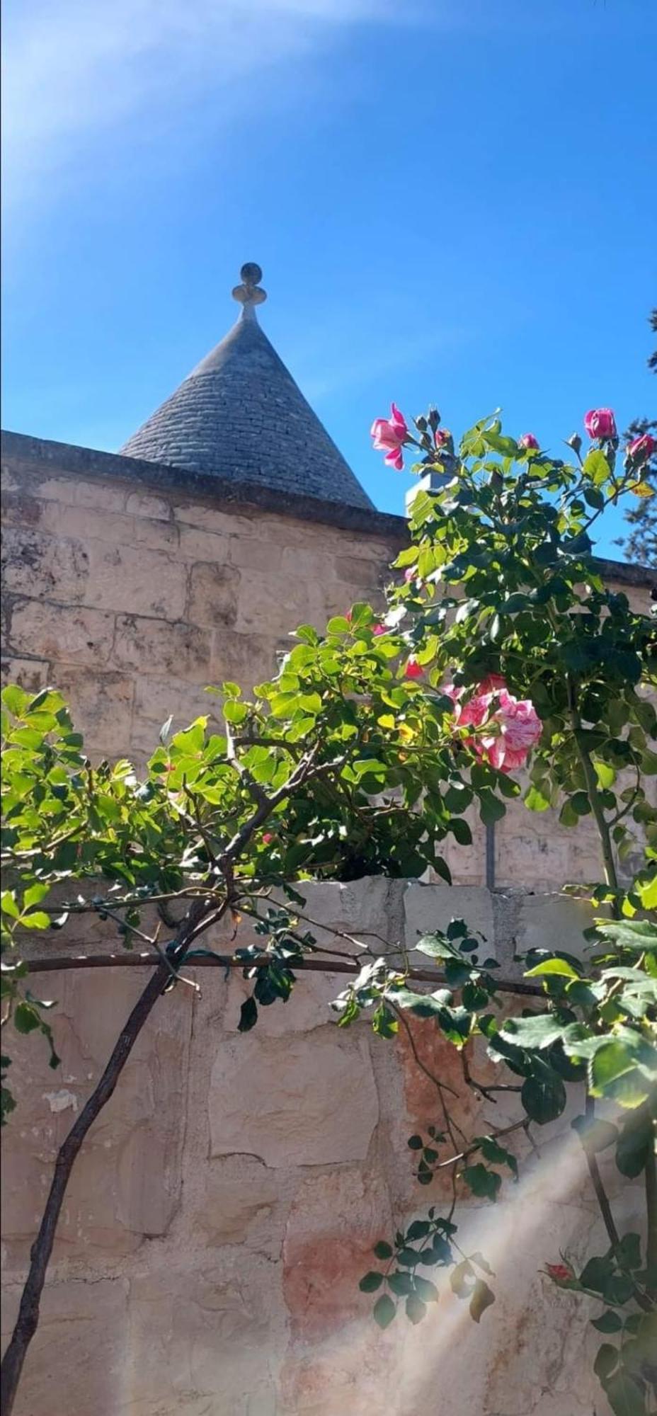 Villa Il Trullo Delle Rose, Monopoli By Il Pumo Di Puglia Cozzana Exterior foto